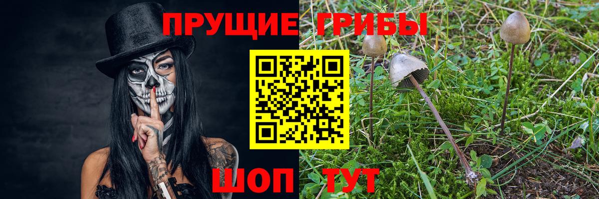 Псилоцибиновые грибы ЛСД Лабытнанги